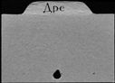 00348909.jpg