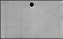 00355188.jpg