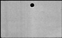 00356856.jpg