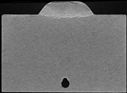 00359114.jpg