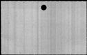 00542824.jpg