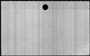 00542954.jpg