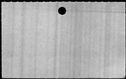 00543052.jpg