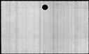 00543358.jpg