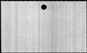 00543384.jpg