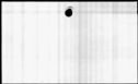 00544538.jpg