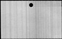 00544544.jpg