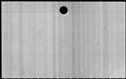 00544658.jpg