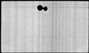 00544750.jpg