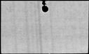 00158828.jpg