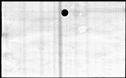 00159558.jpg