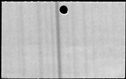 00159766.jpg