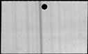 00159904.jpg