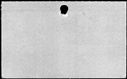 00166028.jpg