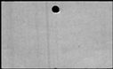 00167906.jpg