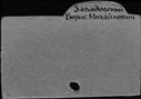 00167933.jpg
