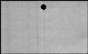 00168286.jpg