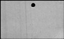 00169080.jpg