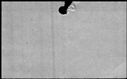 00169120.jpg