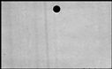 00169376.jpg