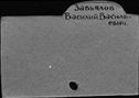 00169401.jpg
