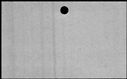 00169494.jpg