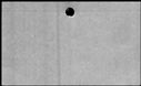 00169696.jpg
