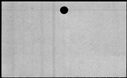 00169788.jpg