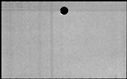 00169894.jpg