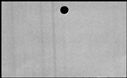 00169930.jpg
