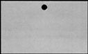00171294.jpg