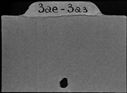00171553.jpg