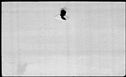 00173194.jpg