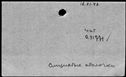 00177450.jpg