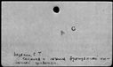 00181892.jpg
