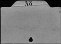 00182485.jpg