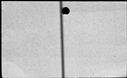 00184386.jpg