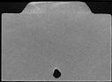 00186028.jpg