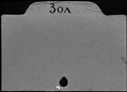 00402421.jpg