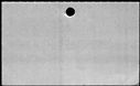 00402448.jpg