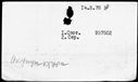 00987772.jpg