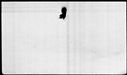 00419564.jpg
