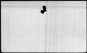 00419678.jpg