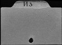 00419835.jpg