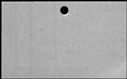 00421074.jpg