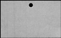 00421106.jpg