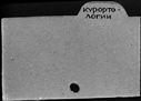 00429703.jpg