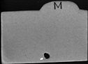00429751.jpg
