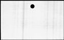 00432450.jpg