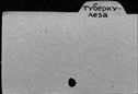 00988697.jpg